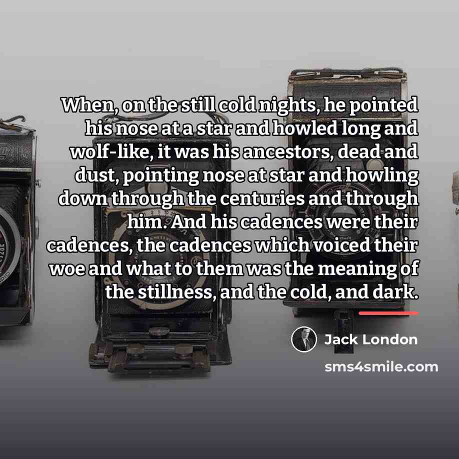 “When, on the still cold nights, he pointed his nose…” quote by Jack London