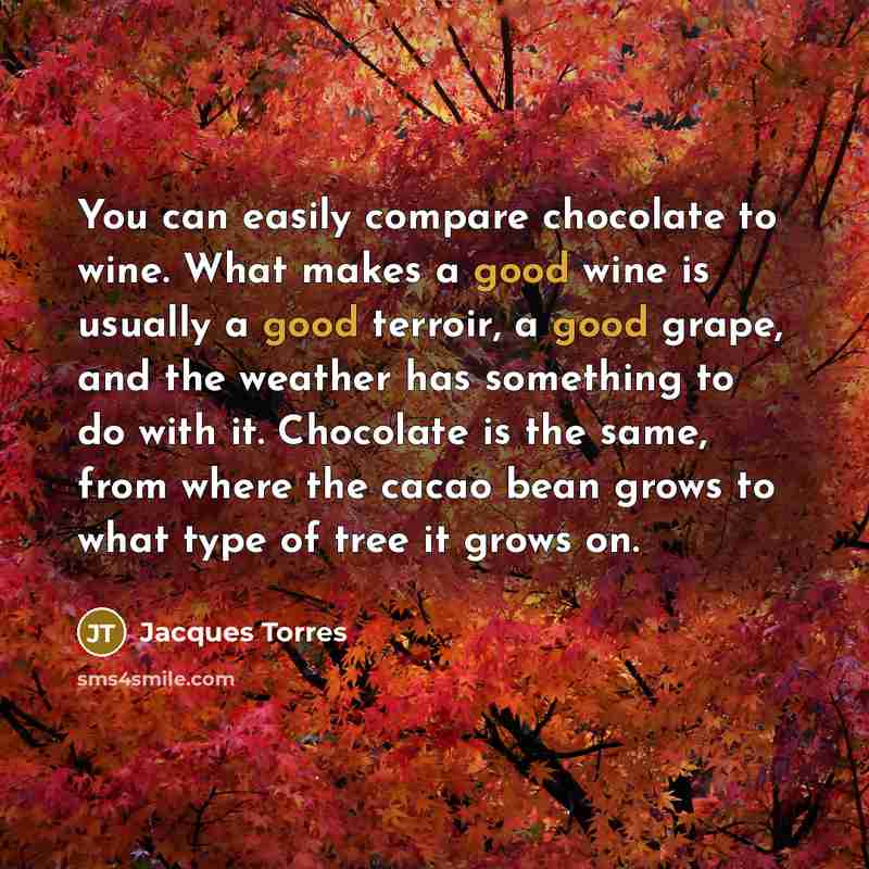 “You can easily compare chocolate to wine. What makes a…” quote by Jacques Torres