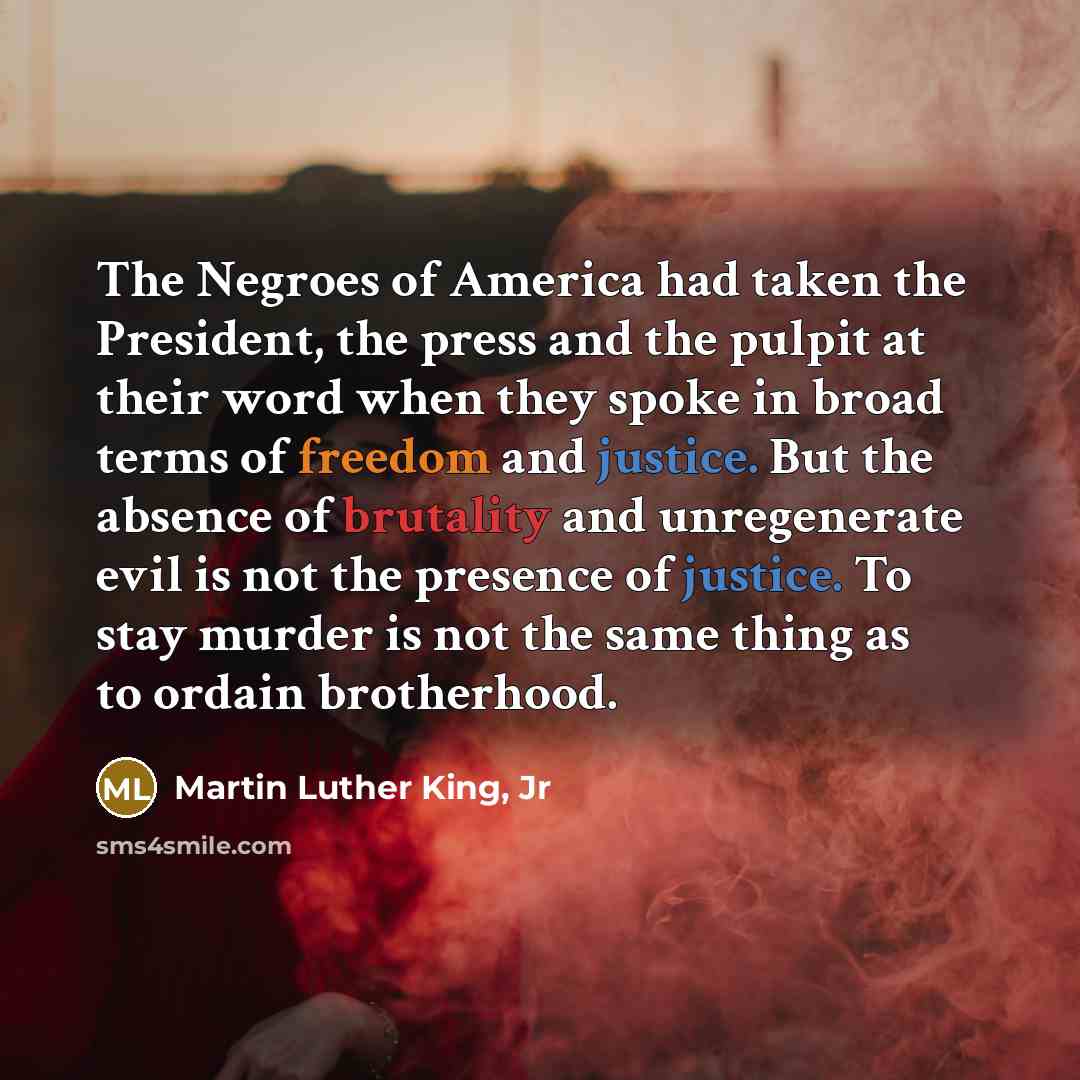 “The Negroes of America had taken the President, the press…” quote by Martin Luther King, Jr