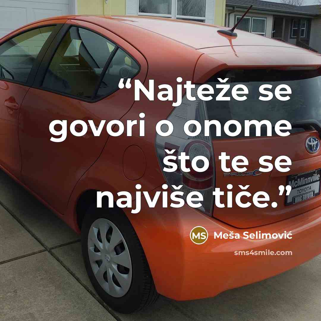 “Najteže se govori o onome što te se najviše tiče.” quote by Meša Selimović