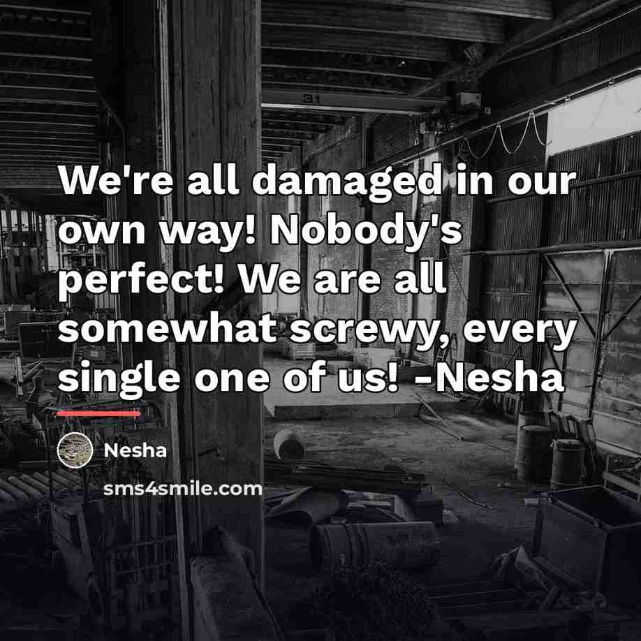 “We're all damaged in our own way! Nobody's perfect! We…” quote by Nesha