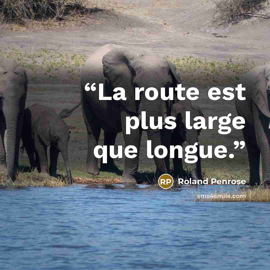“La route est plus large que longue.” quote by Roland Penrose