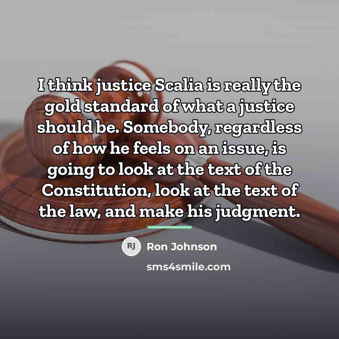 “I think justice Scalia is really the gold standard of…” quote by Ron Johnson