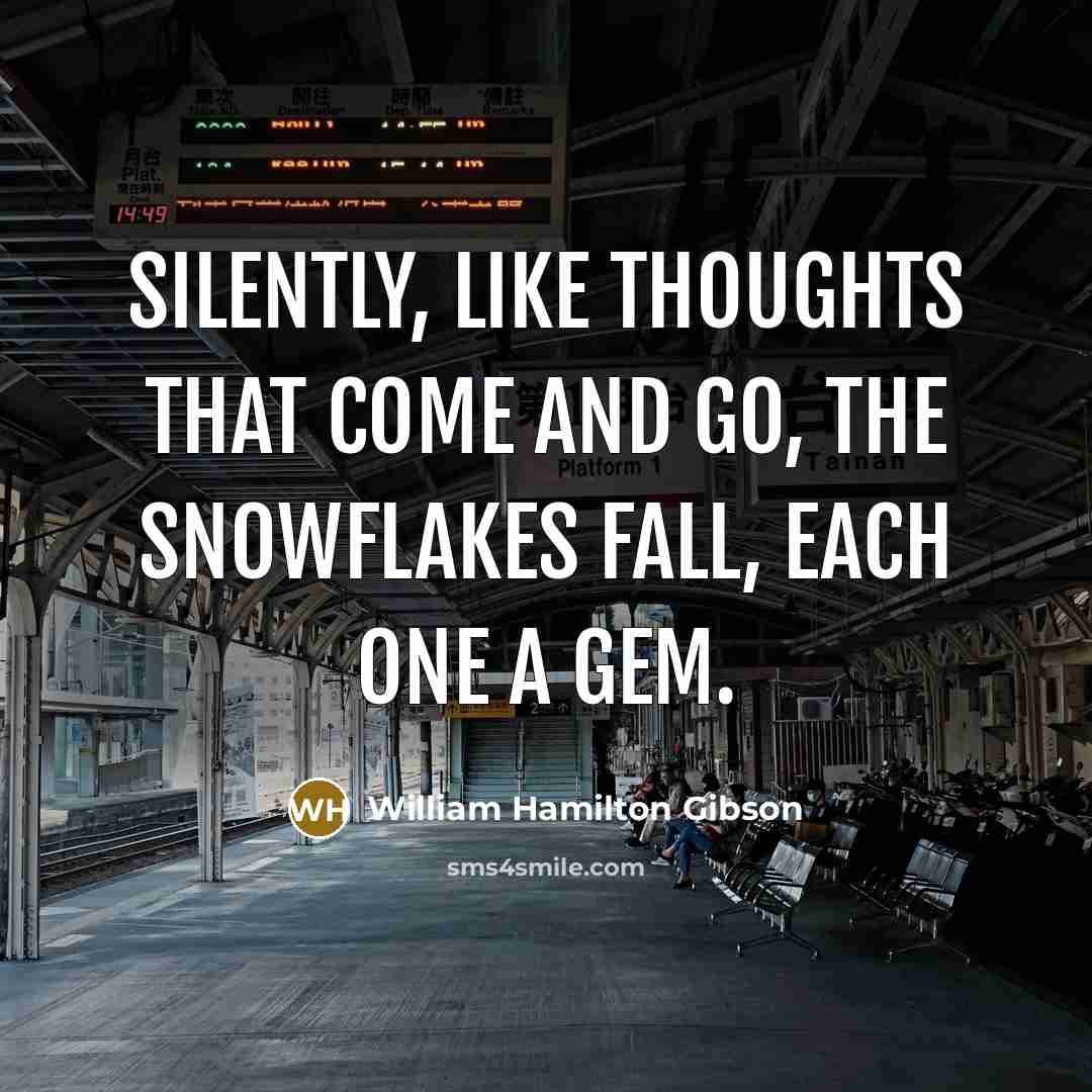 “Silently, like thoughts that come and go, the snowflakes fall, each one a gem.” quote by William Hamilton Gibson