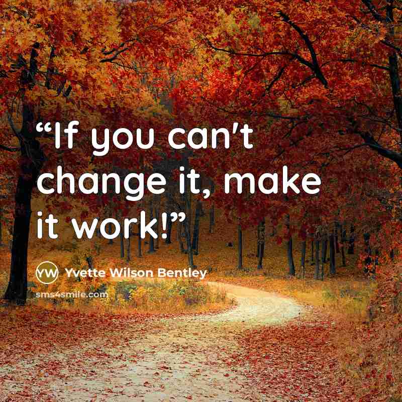 “If you can't change it, make it work!” quote by Yvette Wilson Bentley