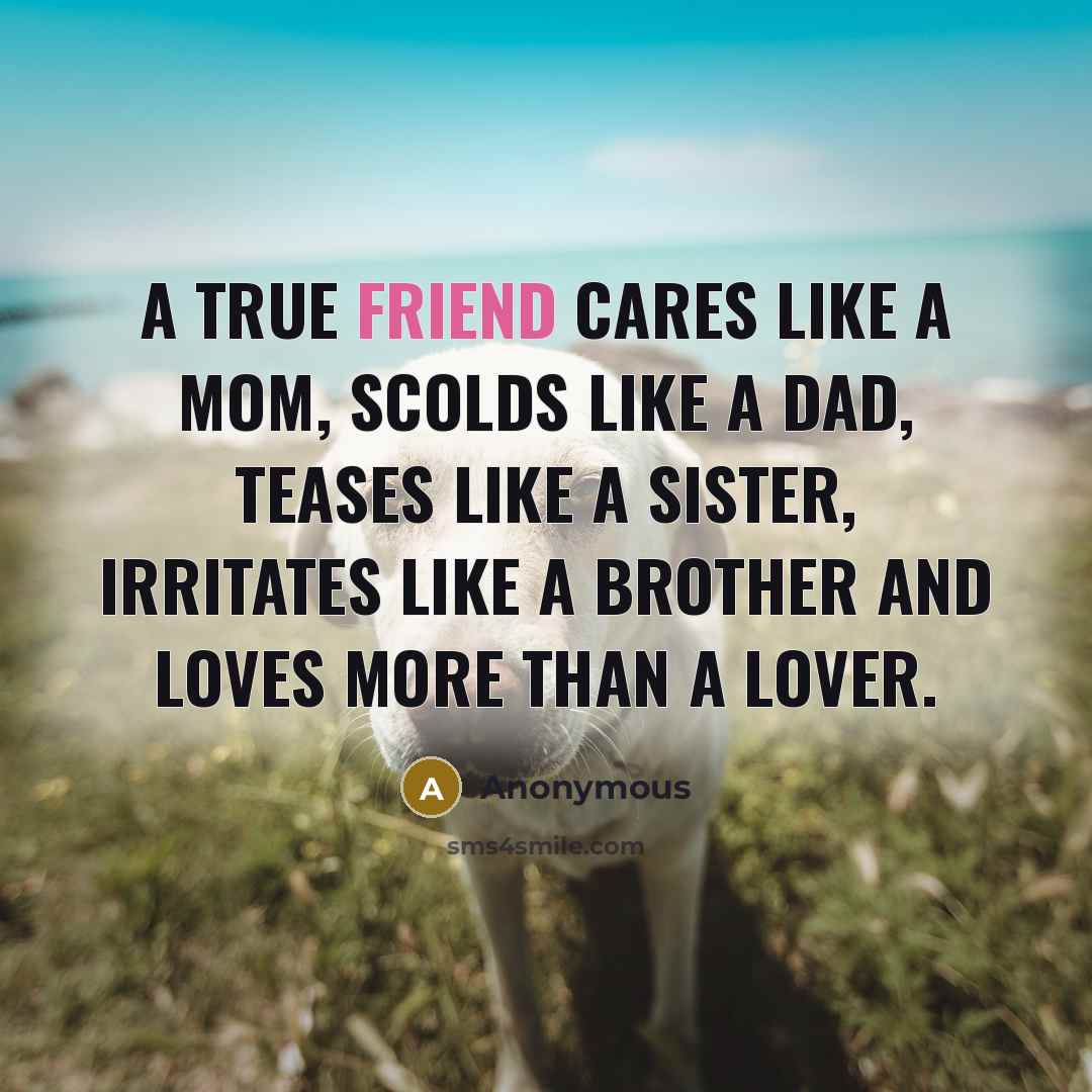 “A true friend cares like a mom, scolds like a…” quote by Anonymous
