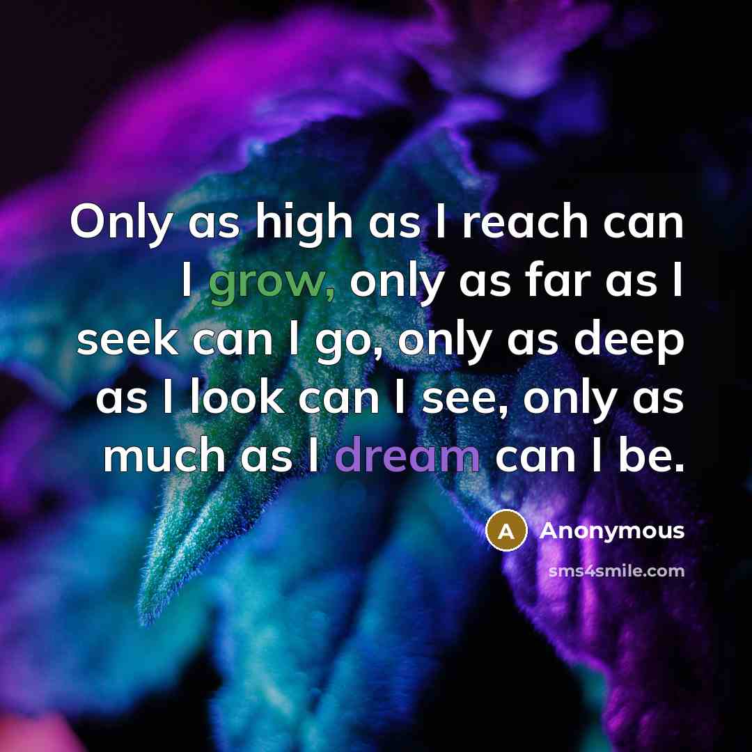 “Only as high as I reach can I grow, only as far as I seek can I go, only as deep as I look can I see, only as much as I dream can I be.” quote by Anonymous