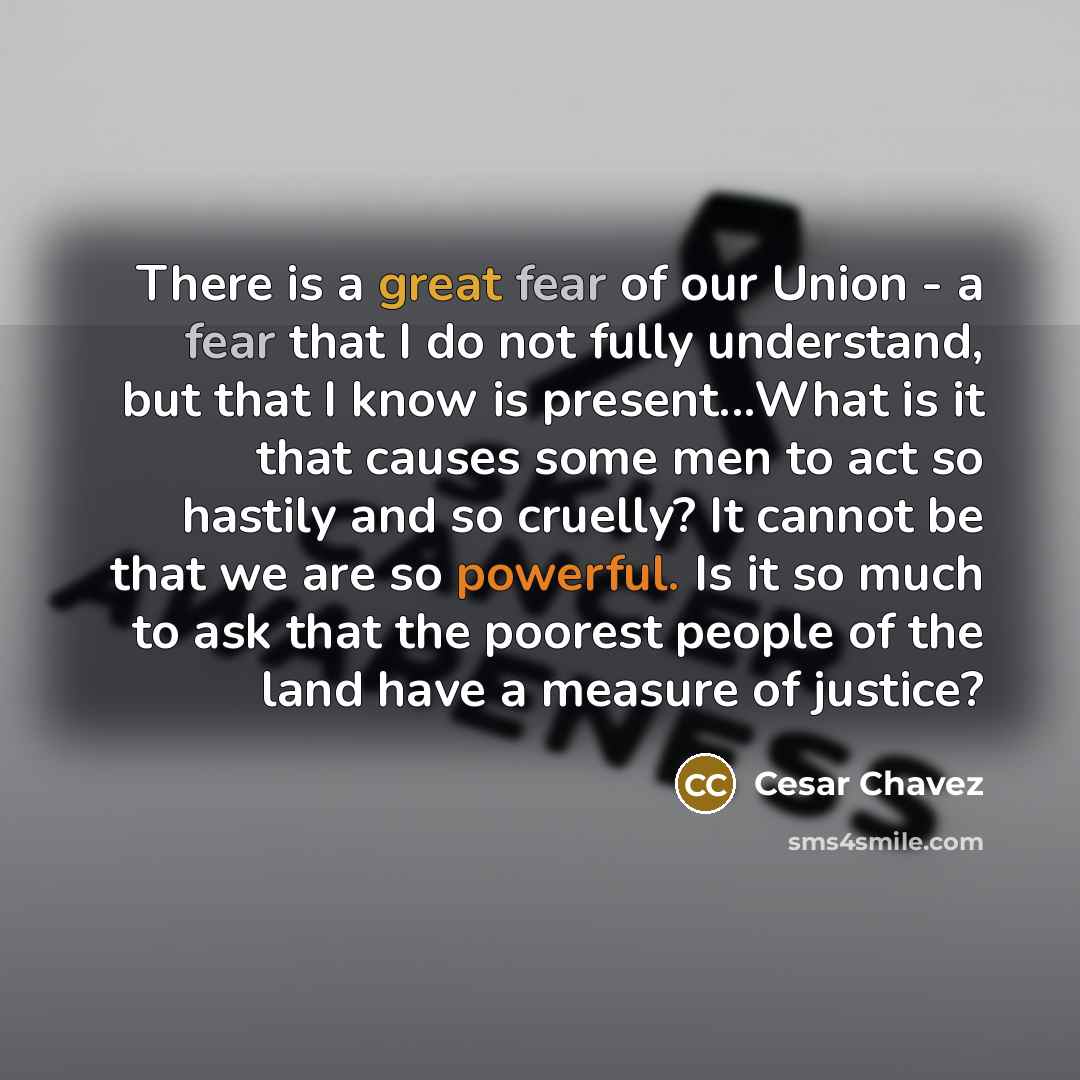 “There is a great fear of our Union - a…” quote by Cesar Chavez