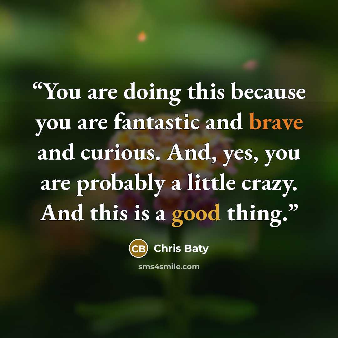 “You are doing this because you are fantastic and brave and curious. And, yes, you are probably a little crazy. And this is a good thing.” quote by Chris Baty