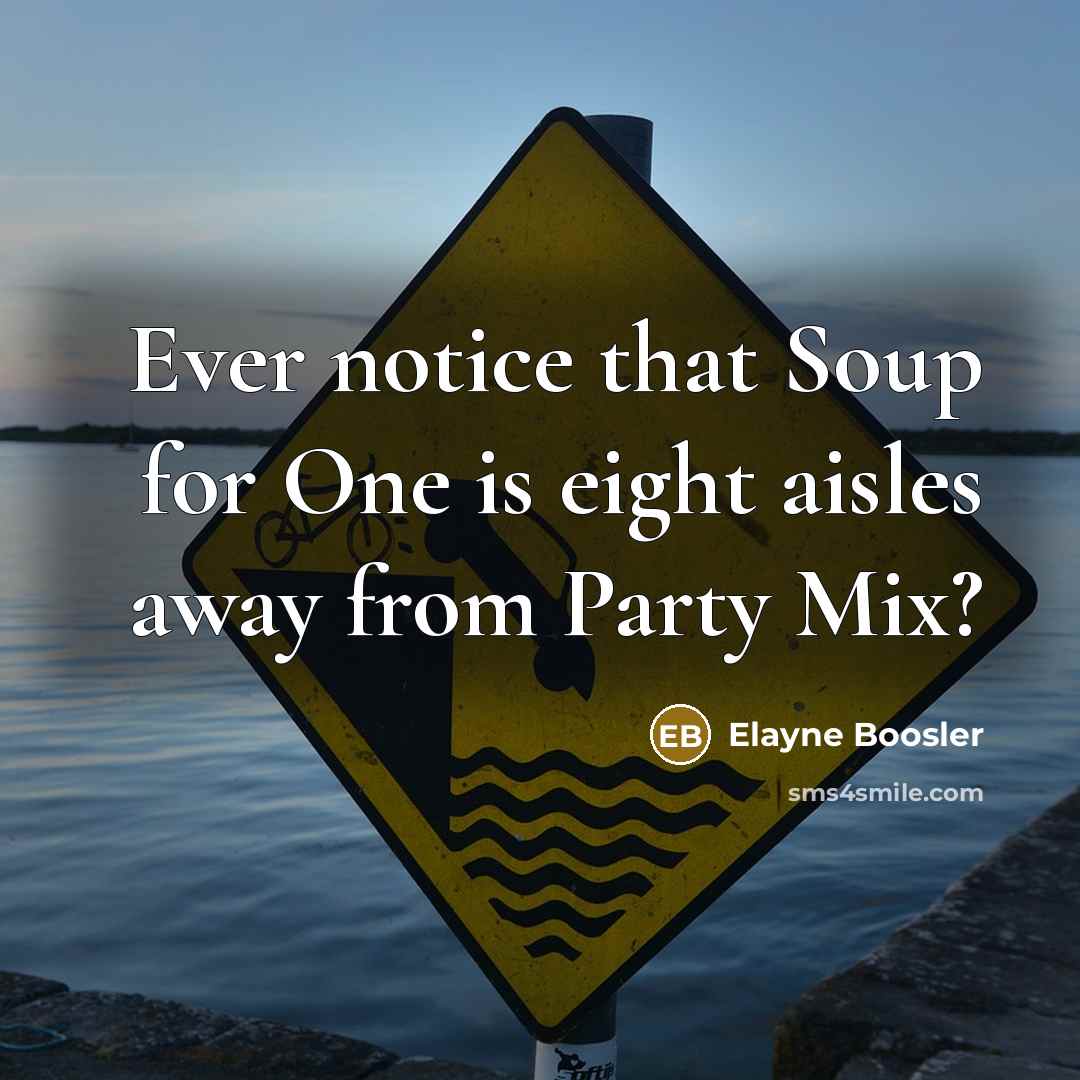 “Ever notice that Soup for One is eight aisles away…” quote by Elayne Boosler
