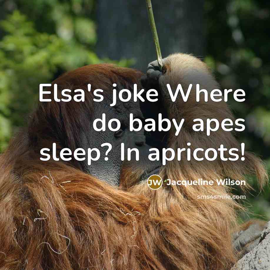 “Elsa's joke Where do baby apes sleep? In apricots!…” quote by Jacqueline Wilson