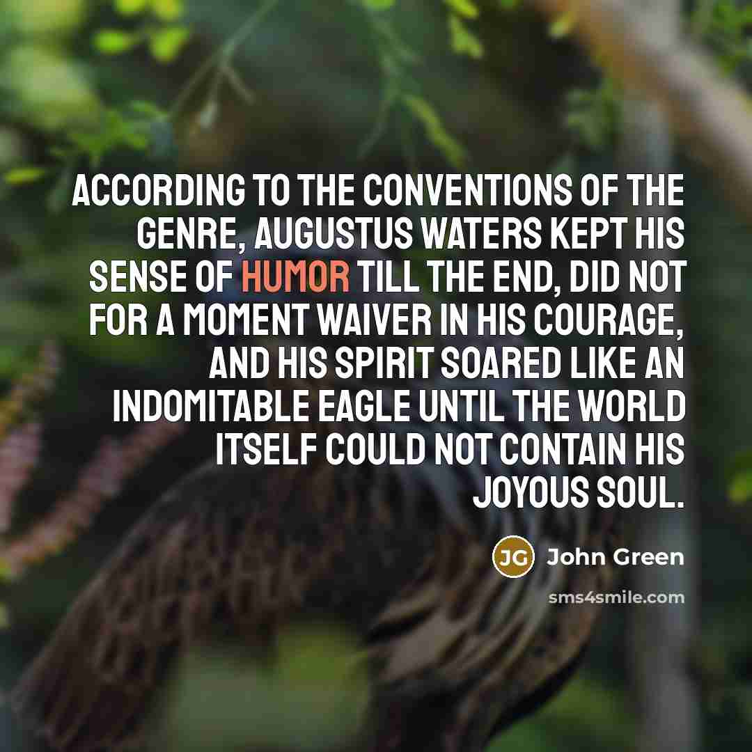 “According to the conventions of the genre, Augustus Waters kept…” quote by John Green