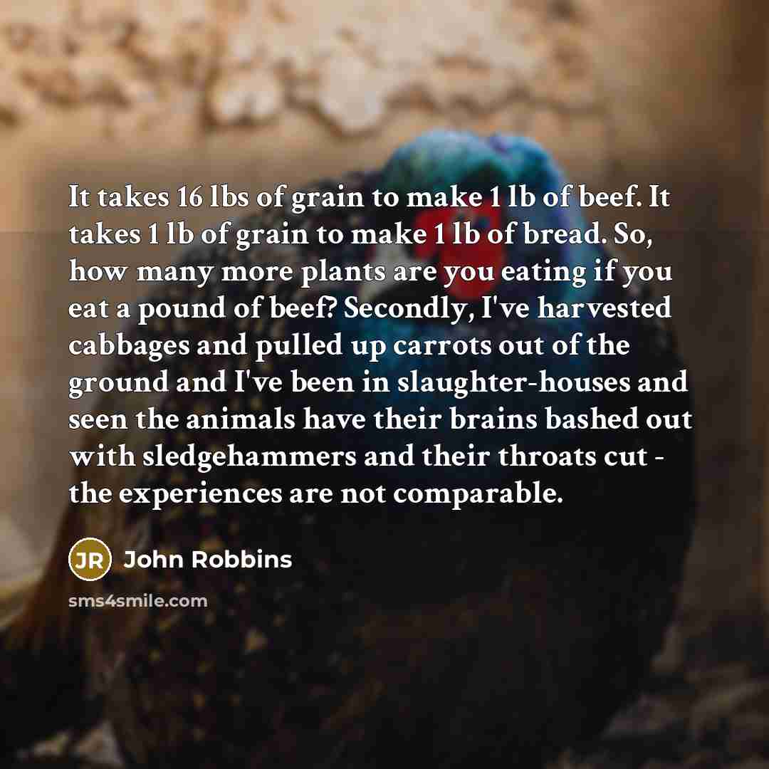 “It takes 16 lbs of grain to make 1 lb…” quote by John Robbins