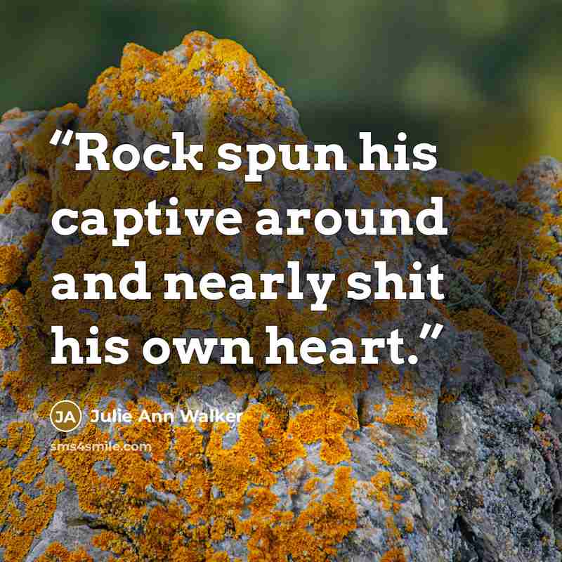 “Rock spun his captive around and nearly shit his own heart.” quote by Julie Ann Walker