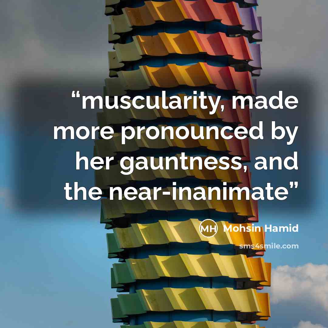 “muscularity, made more pronounced by her gauntness, and the near-inanimate” quote by Mohsin Hamid
