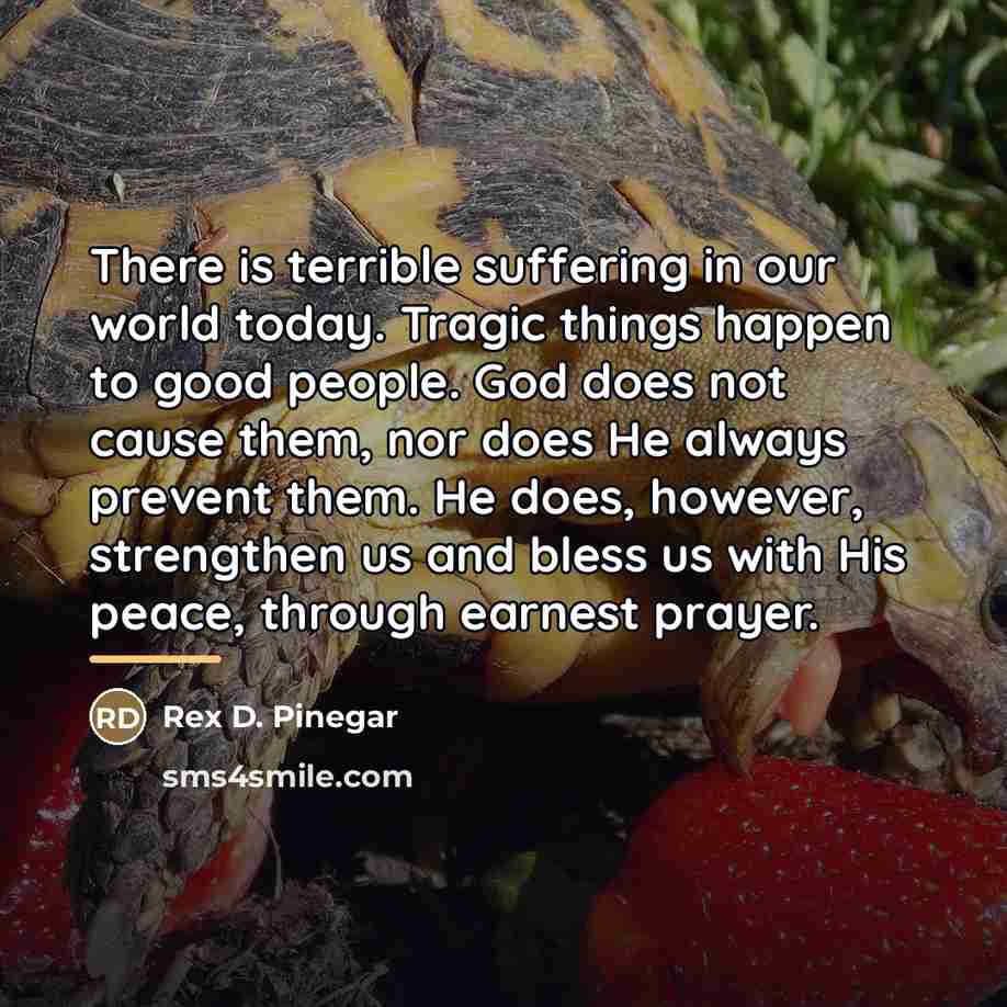“There is terrible suffering in our world today. Tragic things…” quote by Rex D. Pinegar