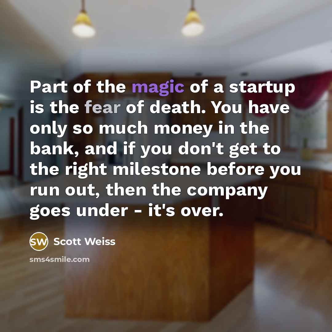 “Part of the magic of a startup is the fear…” quote by Scott Weiss