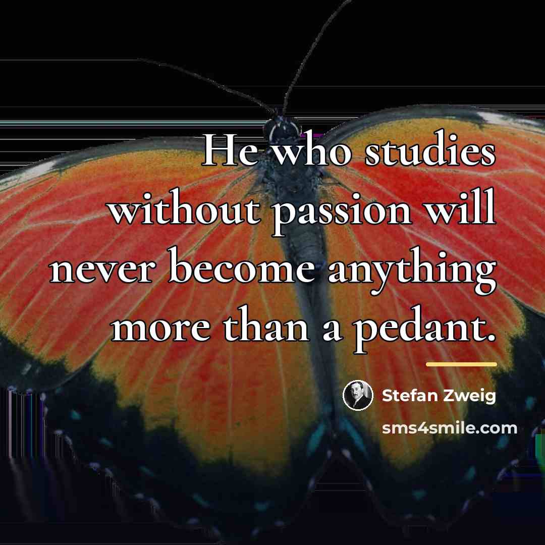 “He who studies without passion will never become anything more…” quote by Stefan Zweig