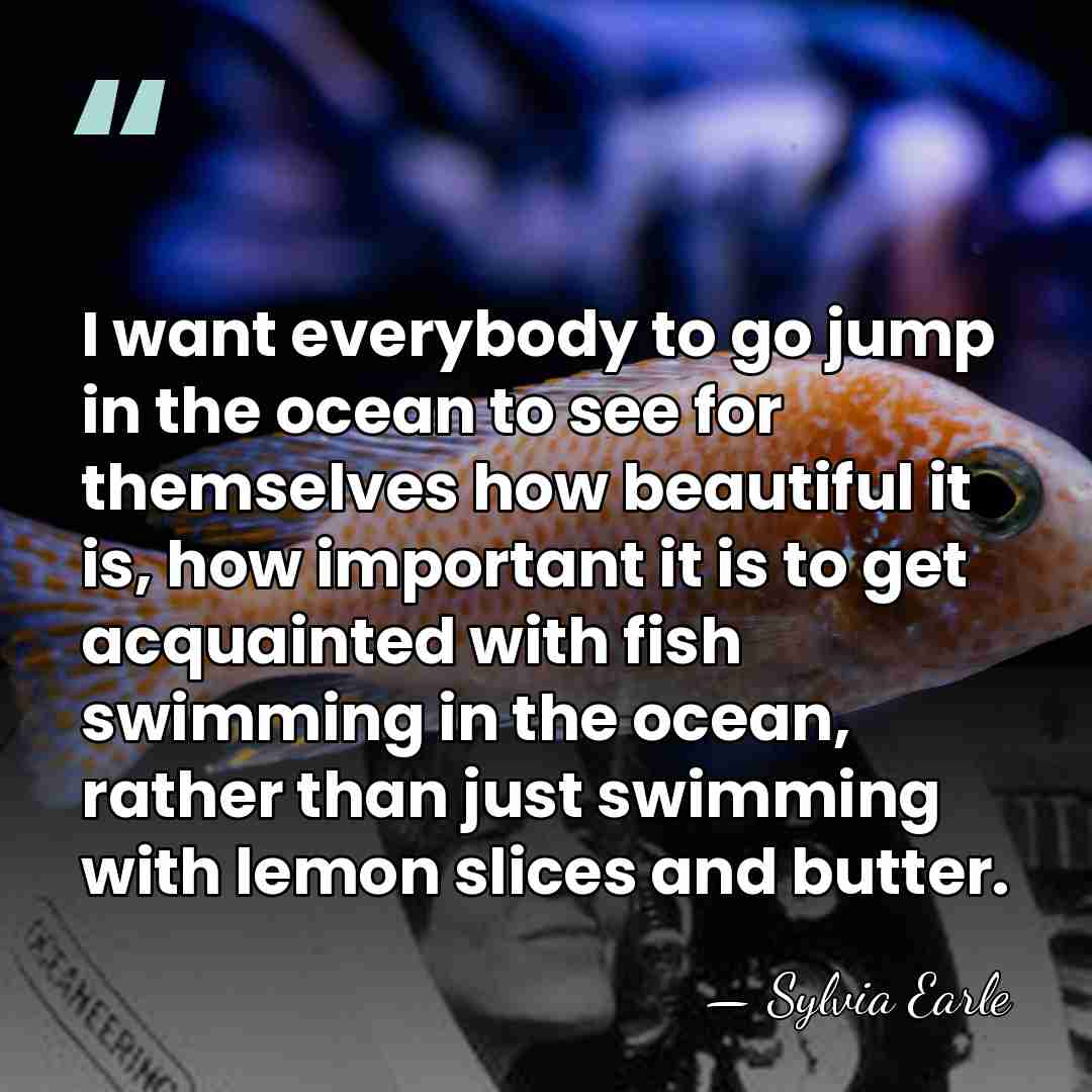I want everybody to go jump in the ocean to see for&hellip; - Sylvia Earle