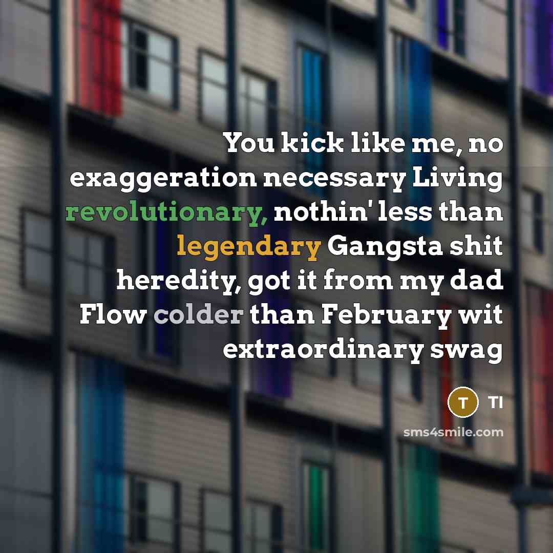 “You kick like me, no exaggeration necessary Living revolutionary, nothin' less than legendary Gangsta shit heredity, got it from my dad Flow colder than February wit extraordinary swag” quote by TI