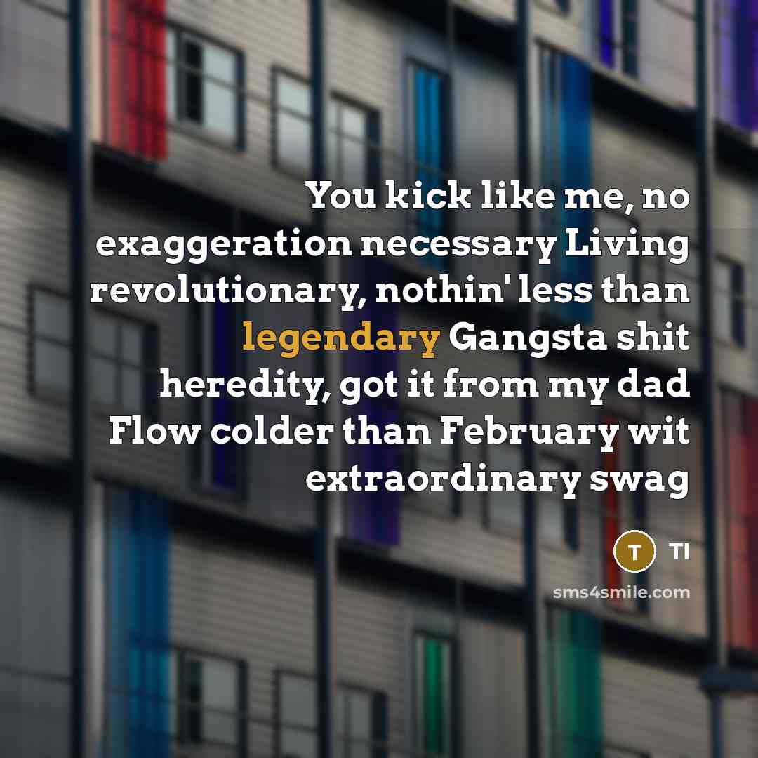 “You kick like me, no exaggeration necessary Living revolutionary, nothin'…” quote by TI