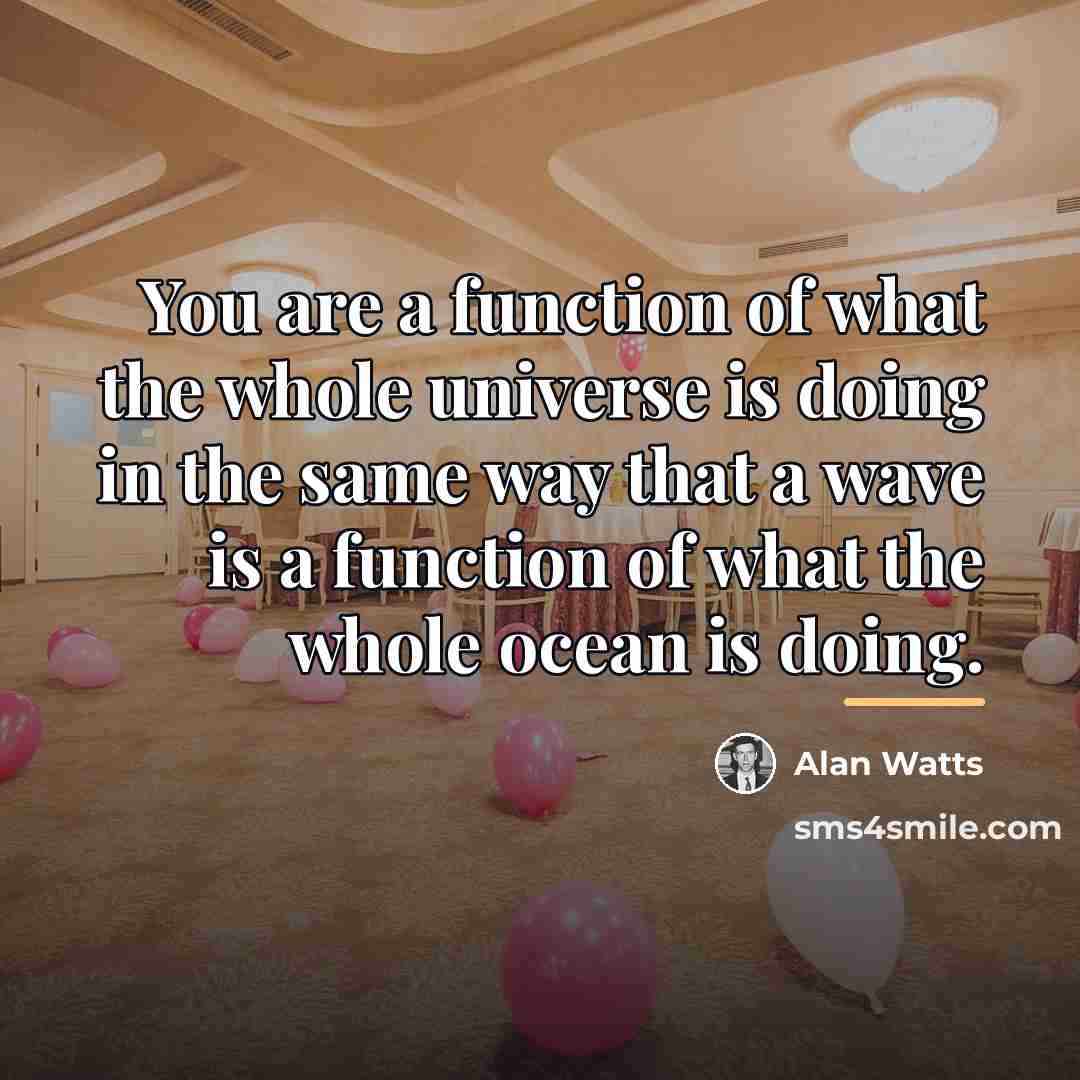 “You are a function of what the whole universe is…” quote by Alan Watts