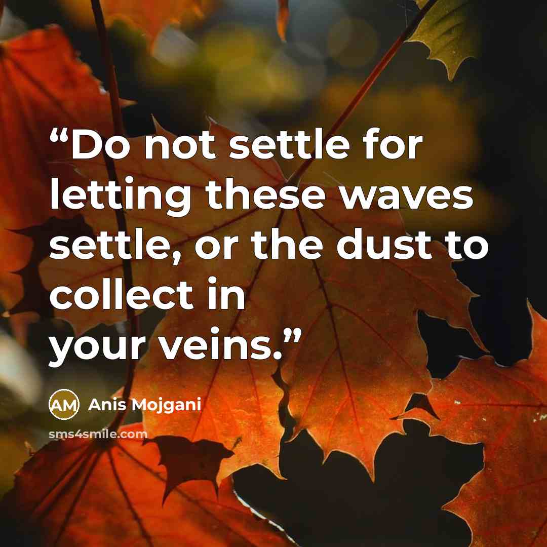 “Do not settle for letting these waves settle, or the dust to collect in your veins.” quote by Anis Mojgani