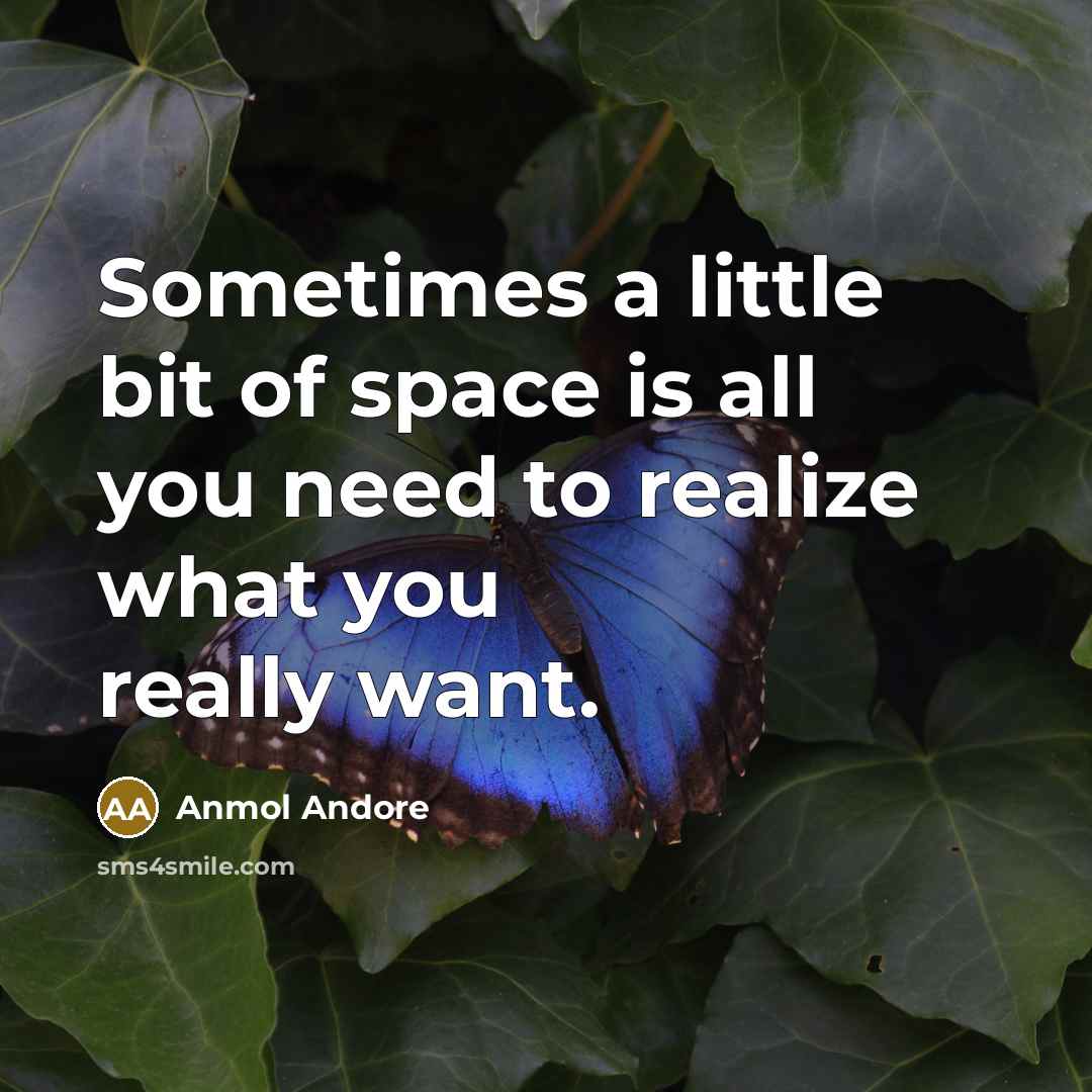 “Sometimes a little bit of space is all you need…” quote by Anmol Andore