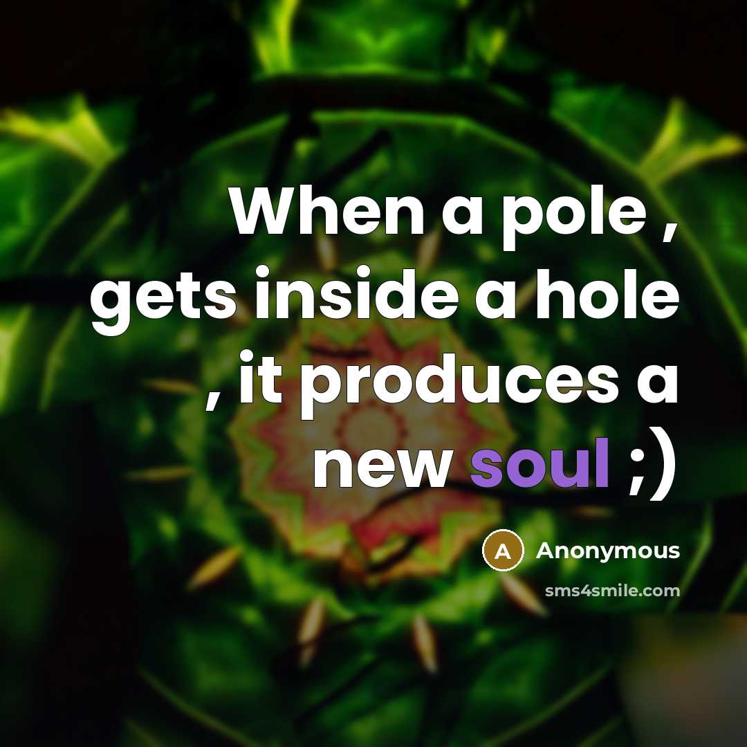 “When a pole , gets inside a hole , it produces a new soul ;)” quote by Anonymous