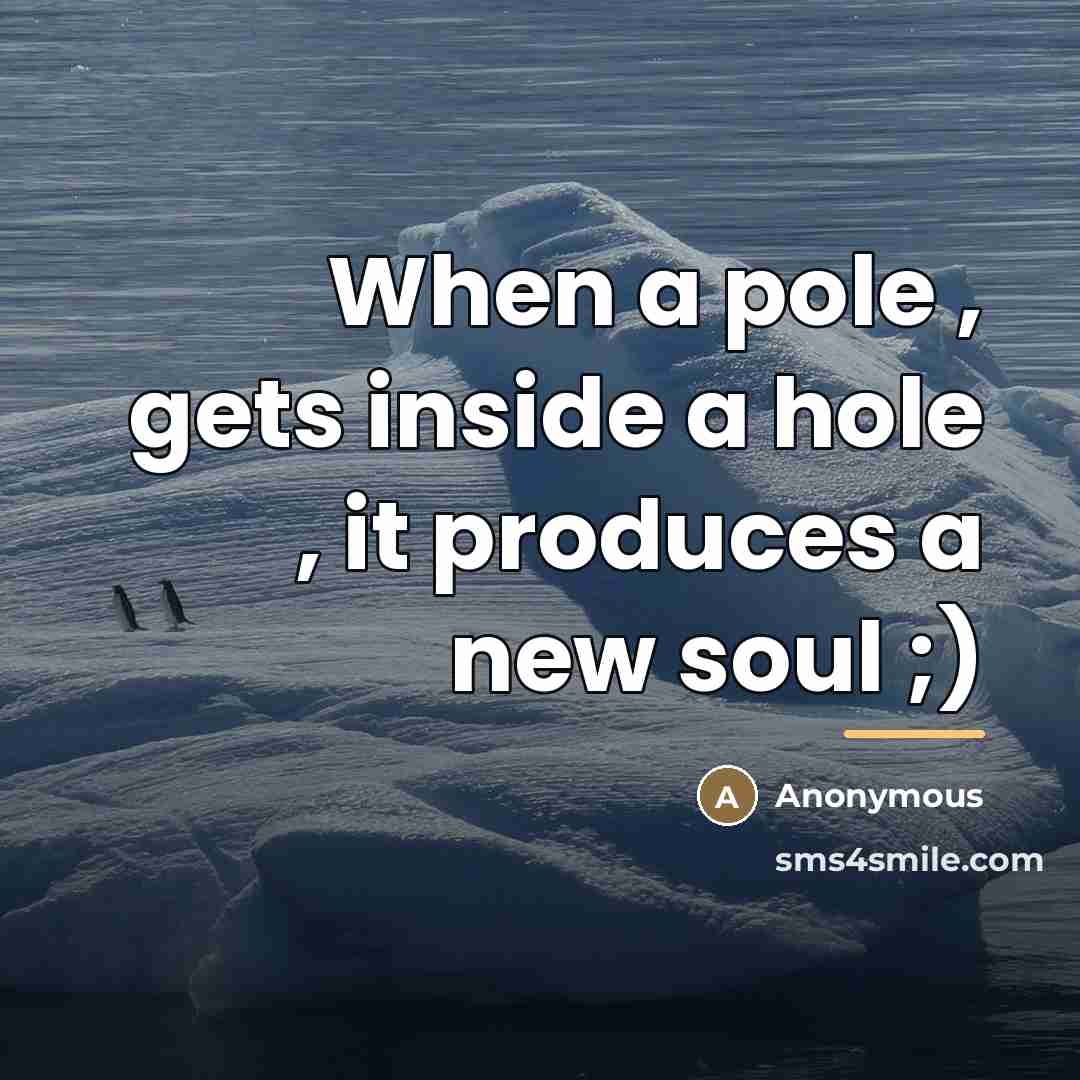 “When a pole , gets inside a hole , it…” quote by Anonymous