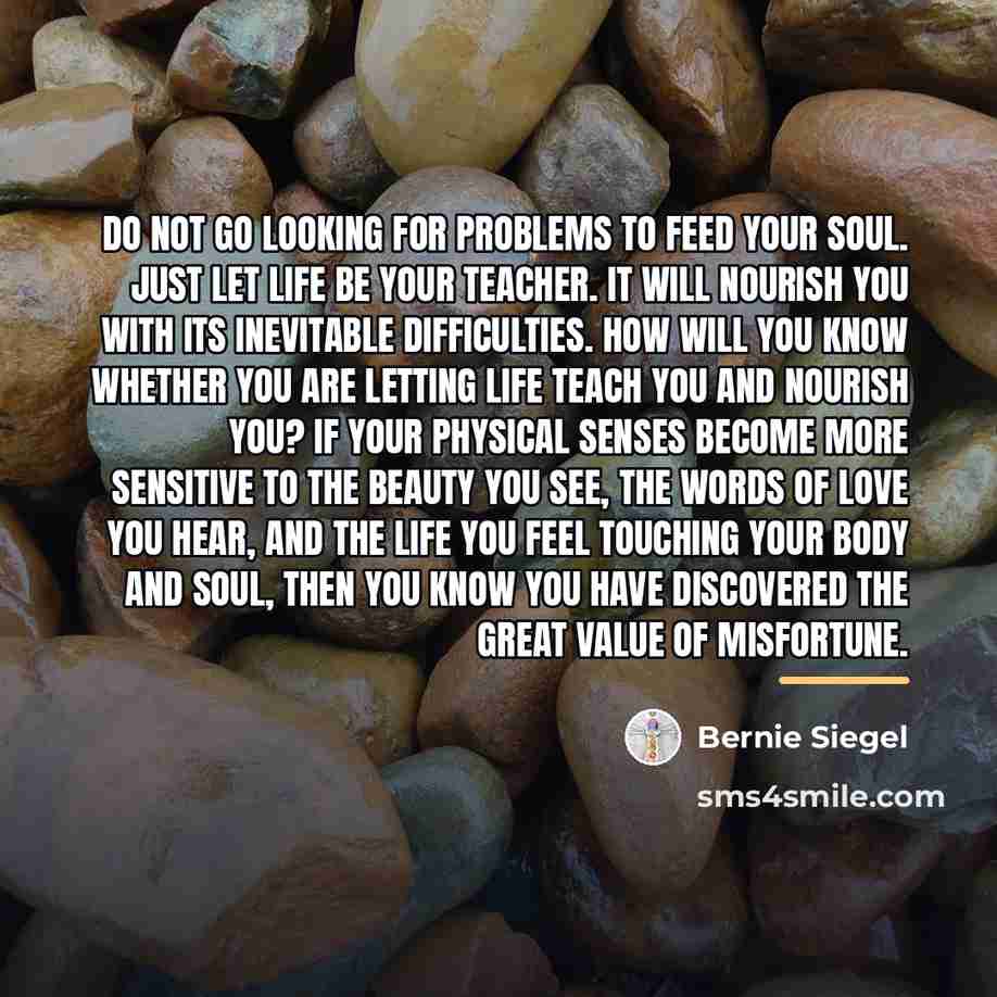 “Do not go looking for problems to feed your soul.…” quote by Bernie Siegel