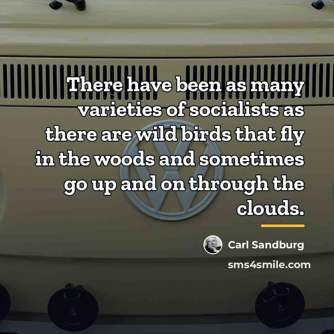 “There have been as many varieties of socialists as there…” quote by Carl Sandburg