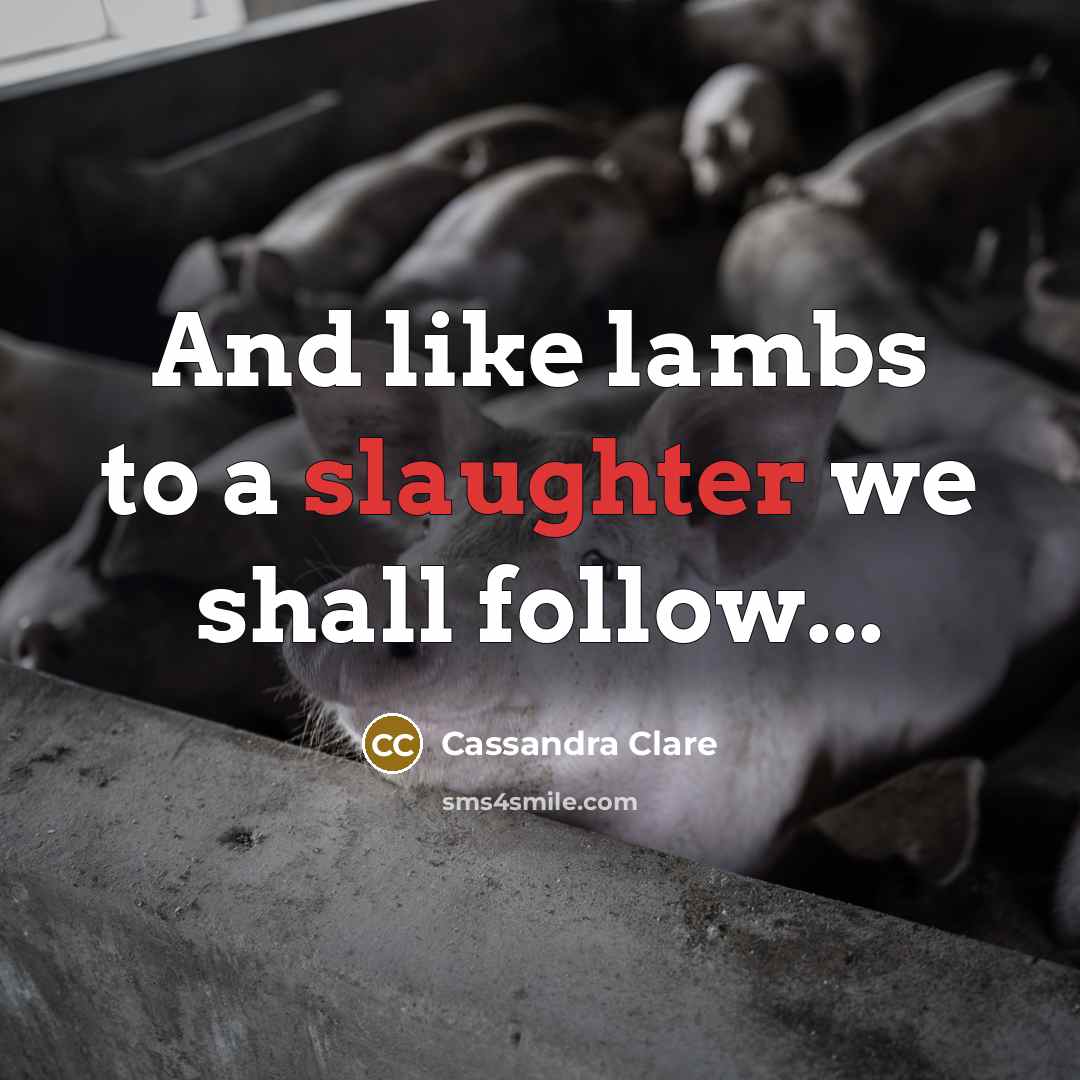 “And like lambs to a slaughter we shall follow...…” quote by Cassandra Clare