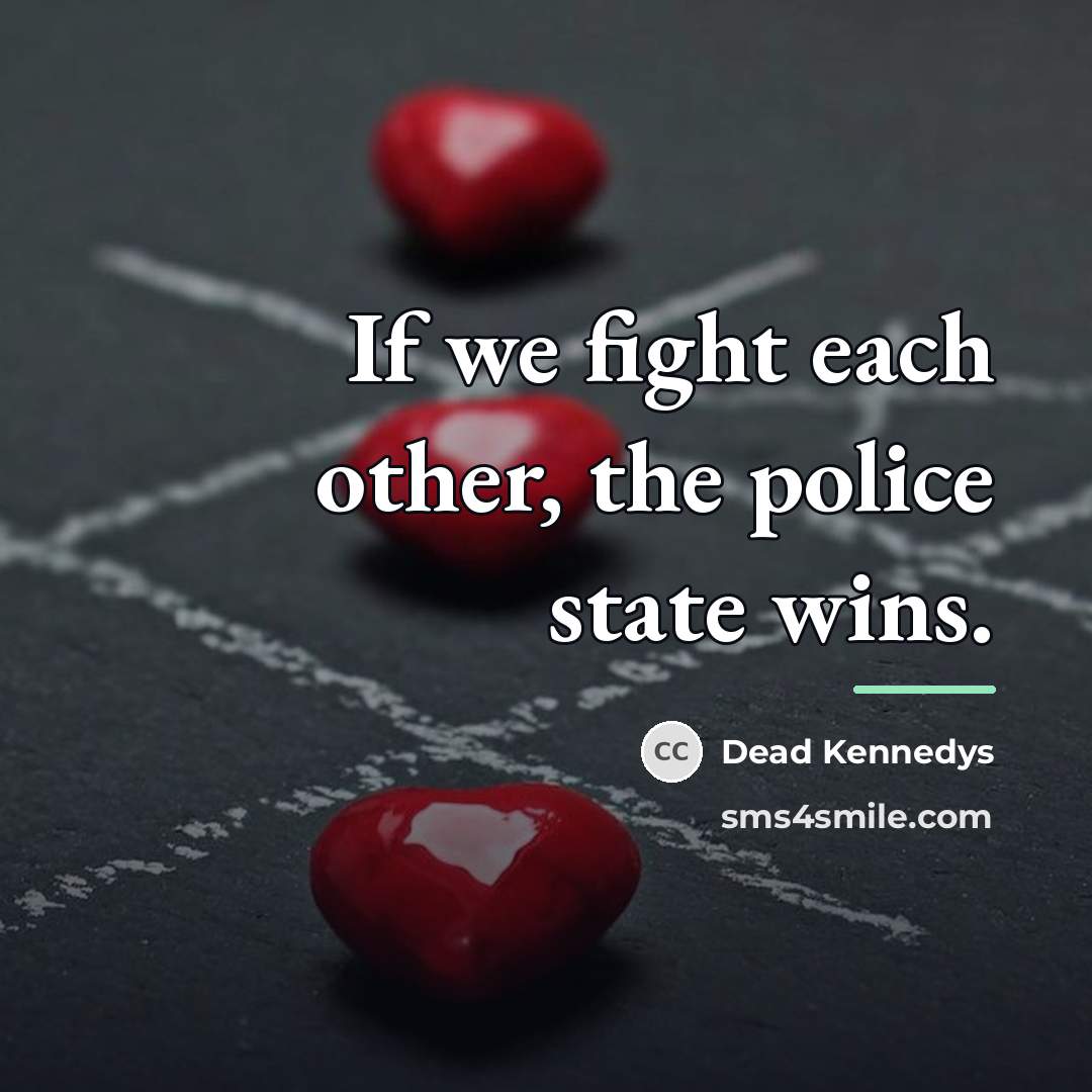 “If we fight each other, the police state wins.…” quote by Dead Kennedys