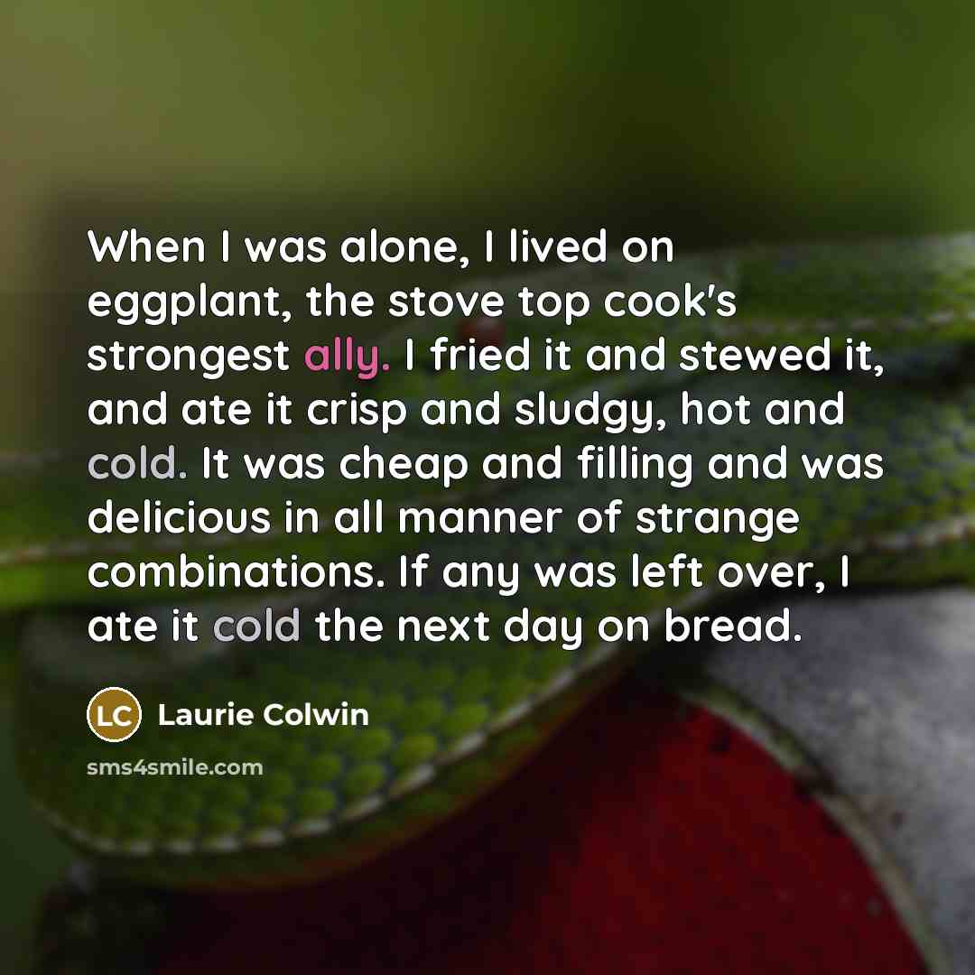 “When I was alone, I lived on eggplant, the stove…” quote by Laurie Colwin