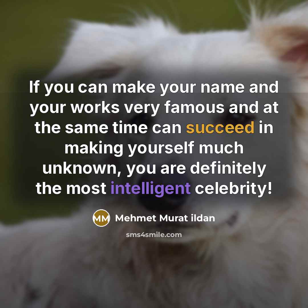 “If you can make your name and your works very…” quote by Mehmet Murat Ildan