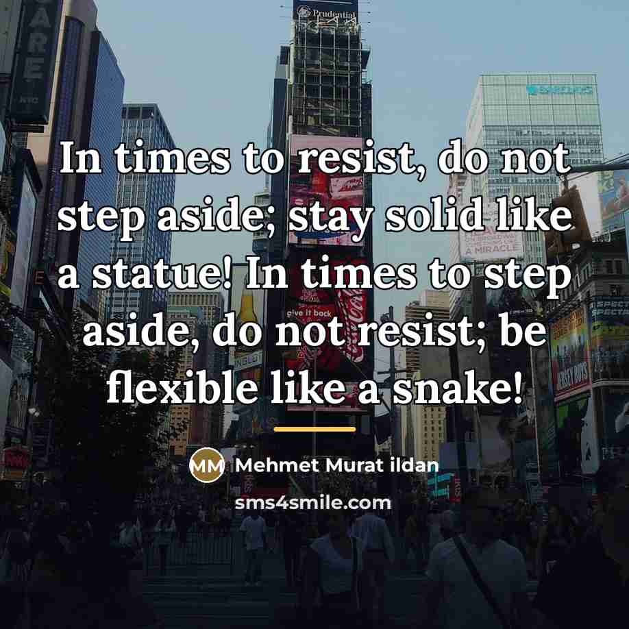 “In times to resist, do not step aside; stay solid…” quote by Mehmet Murat Ildan
