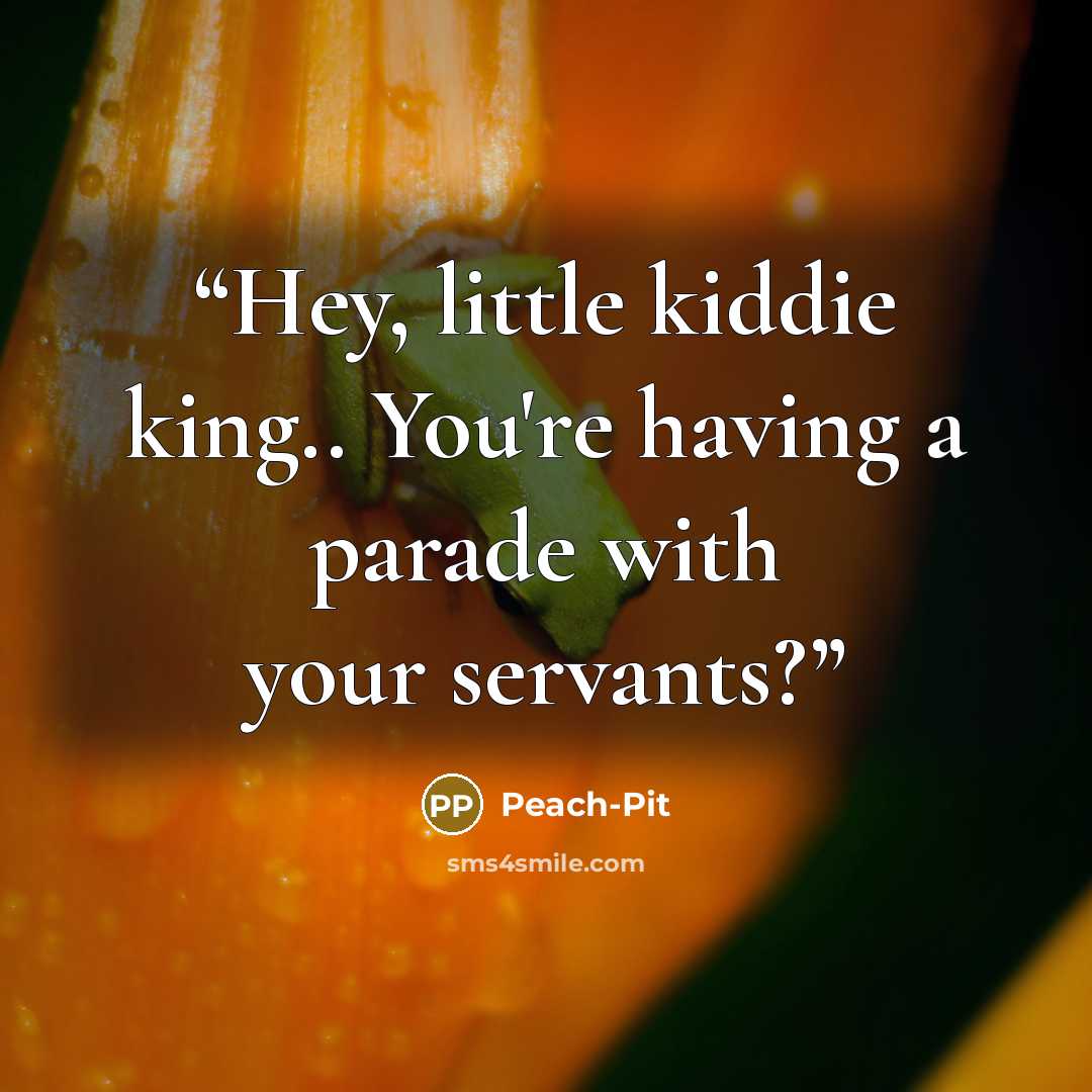 “Hey, little kiddie king.. You're having a parade with your servants?” quote by Peach-Pit