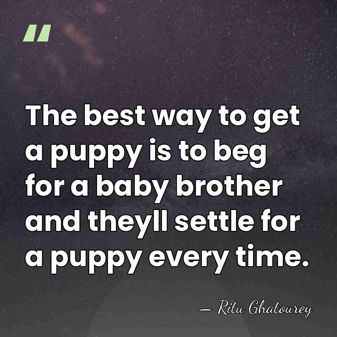 The best way to get a puppy is to beg for a&hellip; - Ritu Ghatourey
