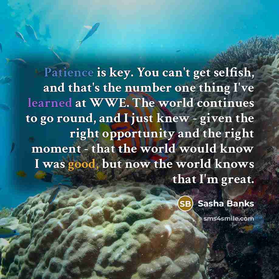 “Patience is key. You can't get selfish, and that's the…” quote by Sasha Banks