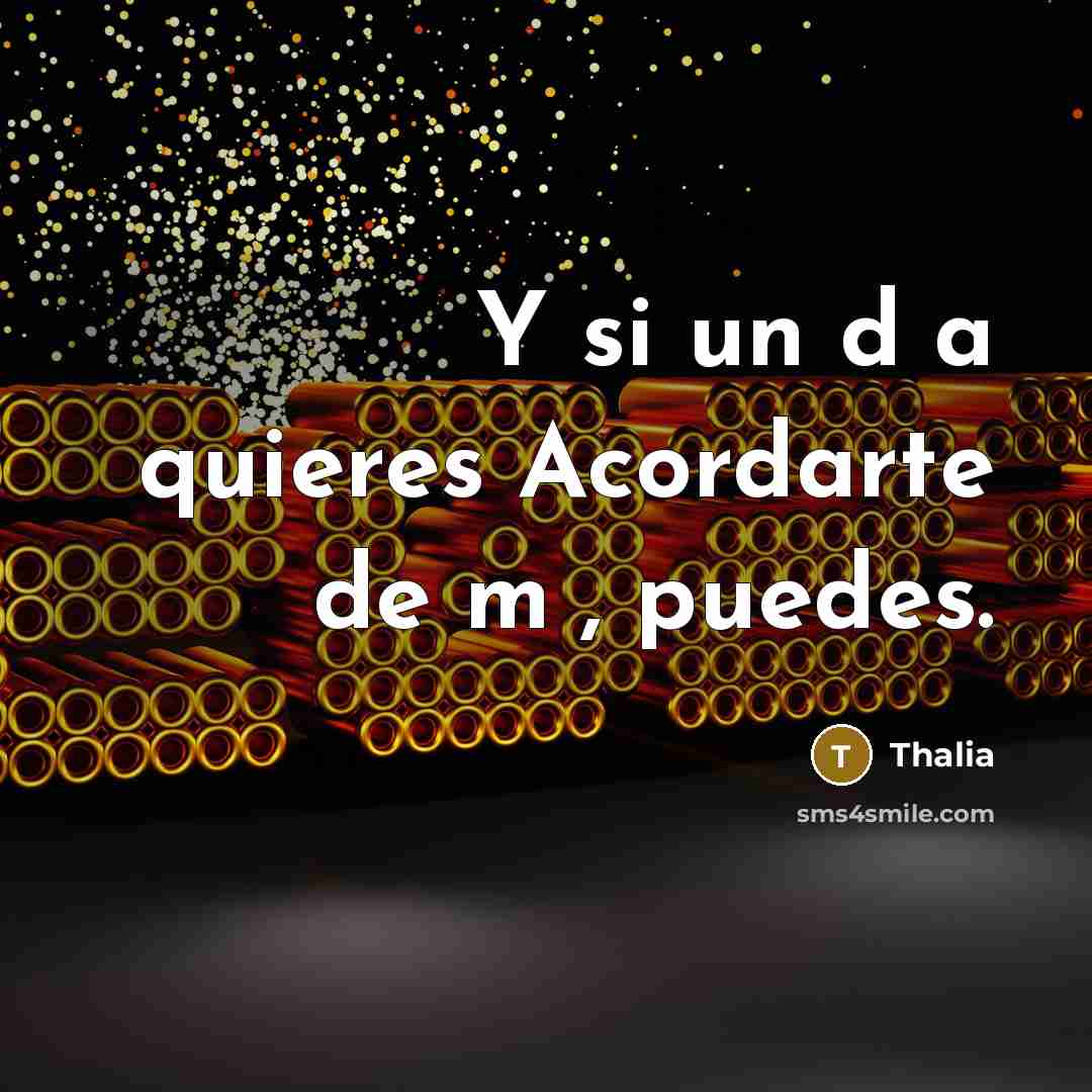 “Y si un d�a quieres Acordarte de m�, puedes.” quote by Thalia