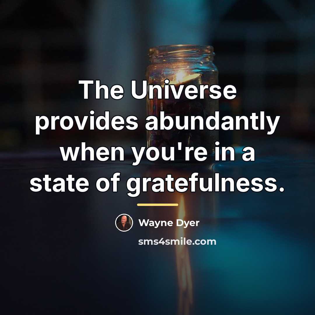 “The Universe provides abundantly when you're in a state of…” quote by Wayne Dyer