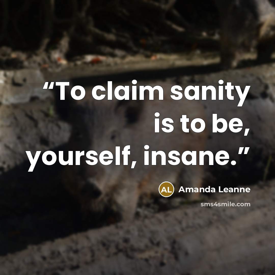 “To claim sanity is to be, yourself, insane.” quote by Amanda Leanne