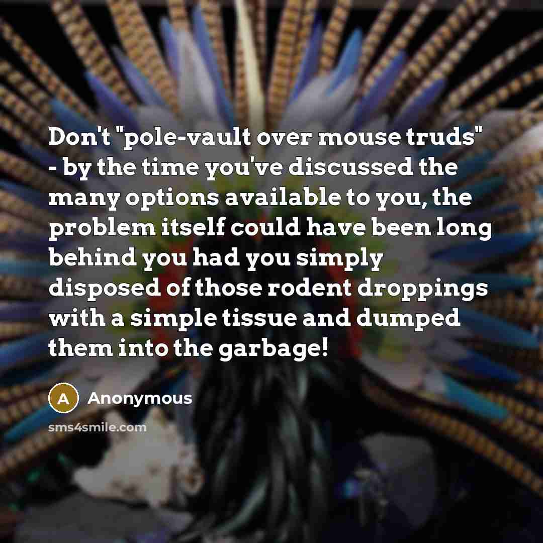 “Don't "pole-vault over mouse truds" - by the time you've…” quote by Anonymous