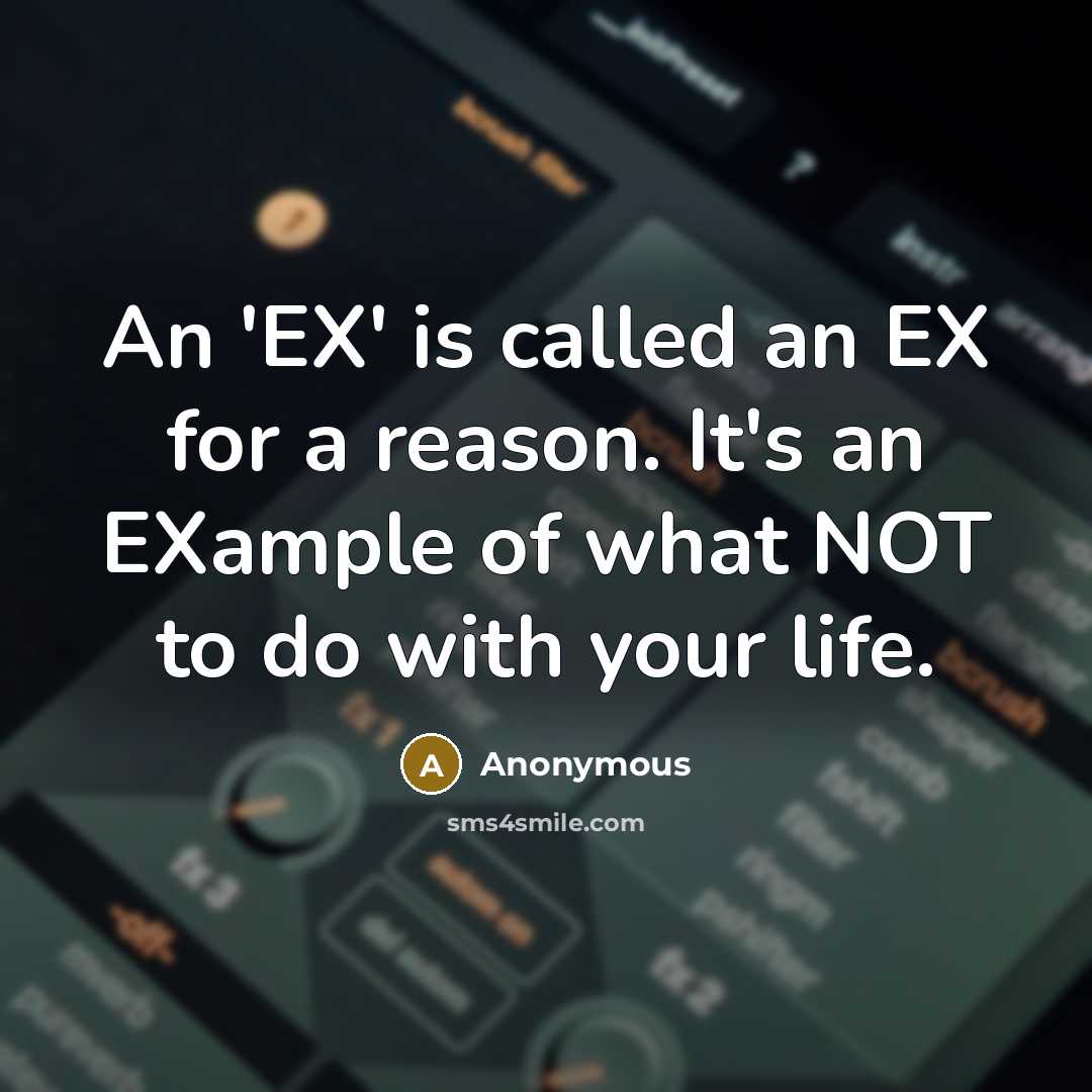 “An 'EX' is called an EX for a reason. It's an EXample of what NOT to do with your life.” quote by Anonymous