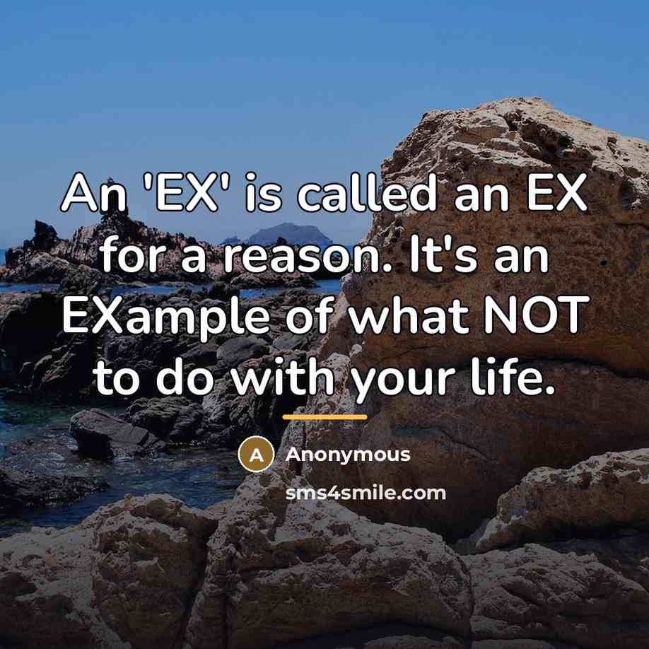“An 'EX' is called an EX for a reason. It's…” quote by Anonymous