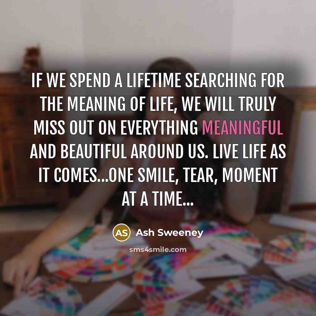 “If we spend a lifetime searching for the meaning of…” quote by Ash Sweeney