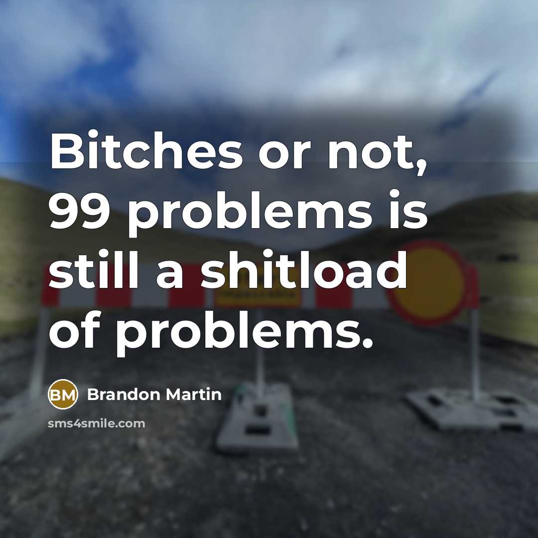 “Bitches or not, 99 problems is still a shitload of problems.” quote by Brandon Martin