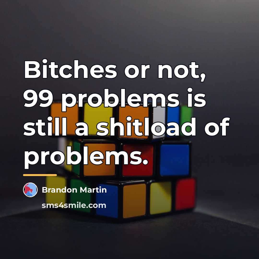 “Bitches or not, 99 problems is still a shitload of…” quote by Brandon Martin