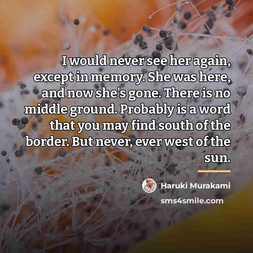“I would never see her again, except in memory. She…” quote by Haruki Murakami